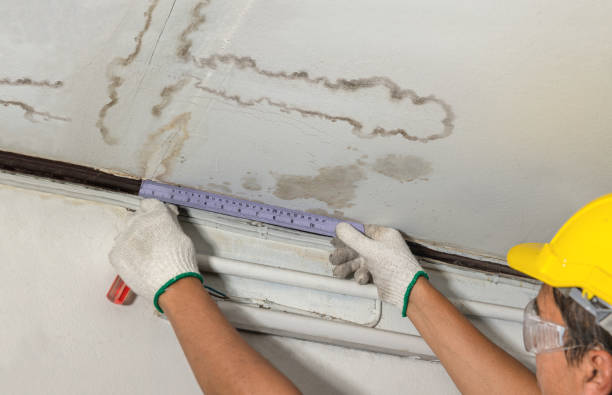 Reliable Sewage Cleanup contractor in Burbank, OH by Water Damage Irwin